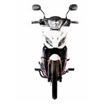 Treckmotors0957503030393591_05