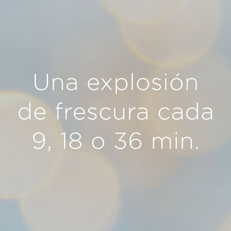 7501032913595_03