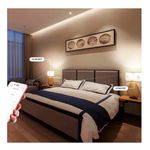 BRANDTRENDY1637502287468540_03