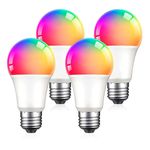 BRANDTRENDY1637502287468557_00