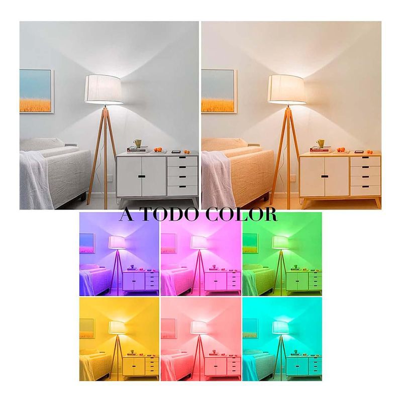 BRANDTRENDY1637502287468557_04