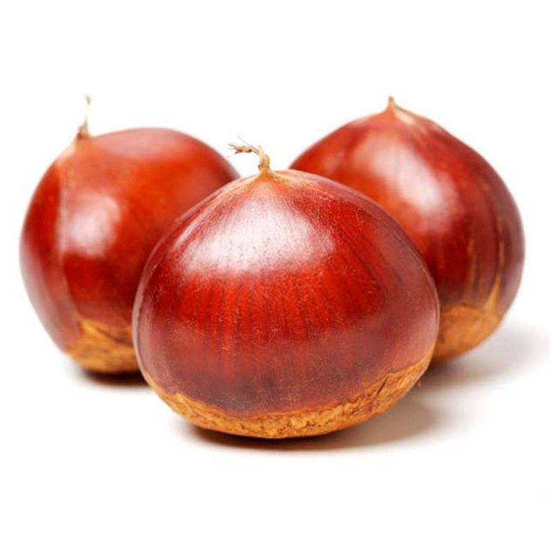 2502898_00