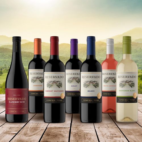 Vino Blanco Chileno Reservado Sauvignon Blanc 750ml