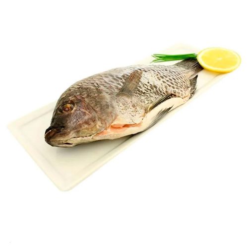 Mojarra de Mar kg