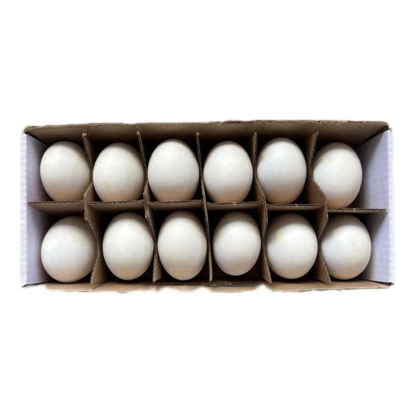 746540001113_02