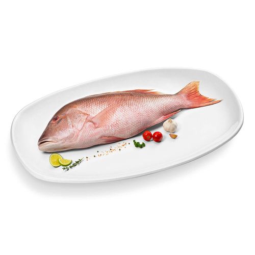 Huachinango Pargo Selecto