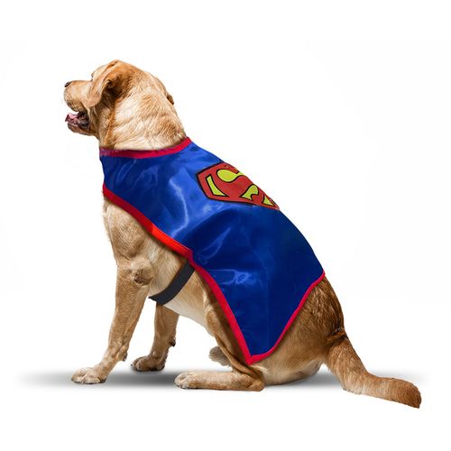 Capa Warner Superman Unitalla F12923