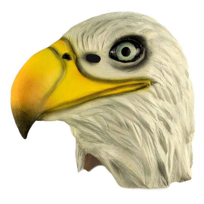 886390266048_04