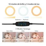 BRANDTRENDY1637502287466386_01