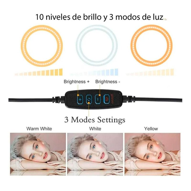 BRANDTRENDY1637502287466386_01