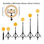 BRANDTRENDY1637502287466386_02