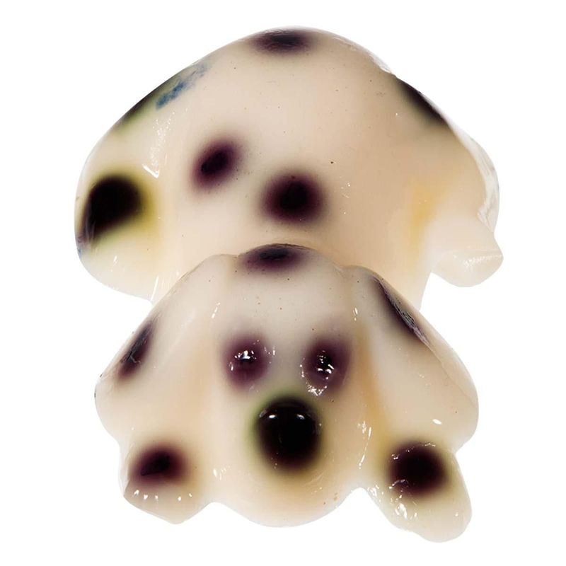 000002362453_00