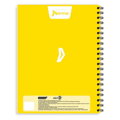 Cuaderno Norma Profesional 100H Ray