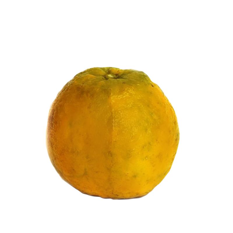 2502768_00