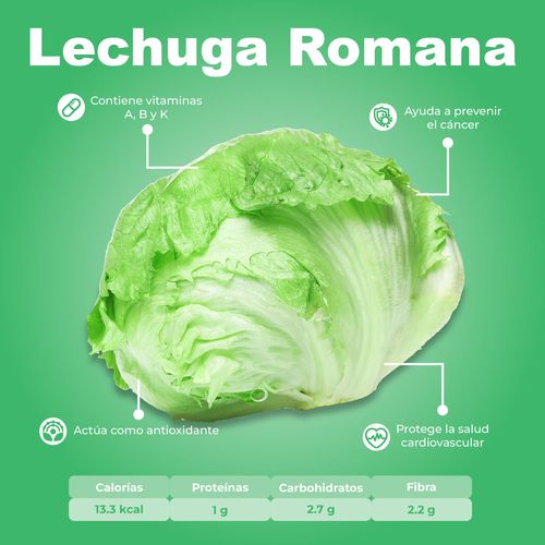 Lechuga Romana Pieza