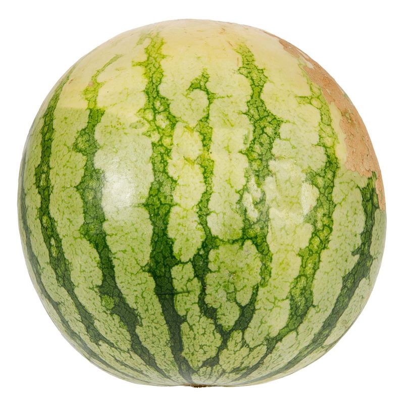 000002515387_00