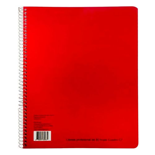 Cuaderno Eco Profesional 80 Hjs C7