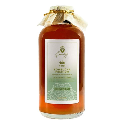 Kombucha Premium Bienestar 295ml