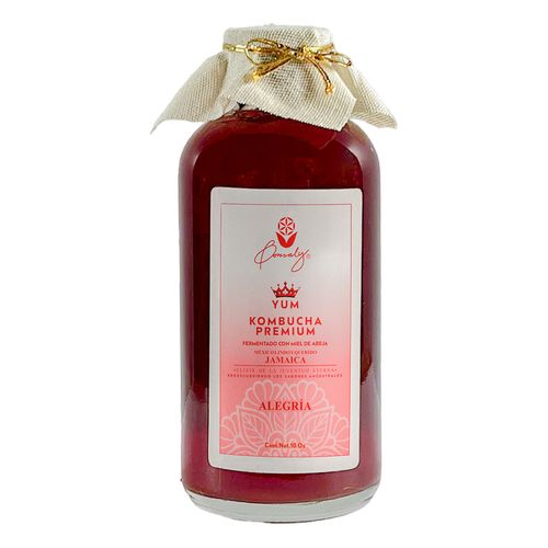 Kombucha Premium Alegría 354ml
