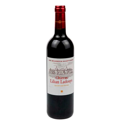 Vino Tinto Chateau Saint-Estephe 750ml