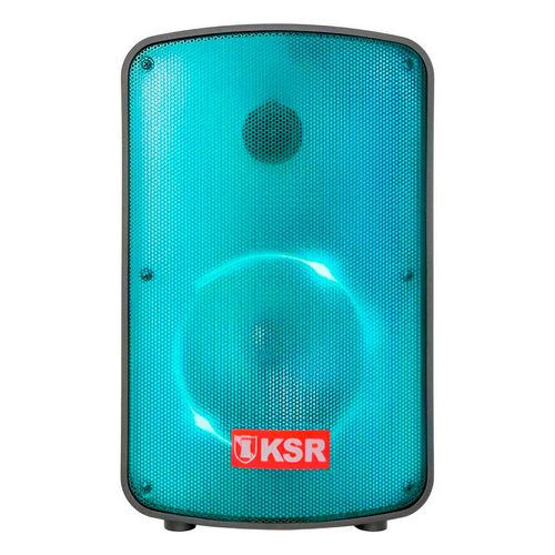 Bafle Profesional KSR Recargable 8 Pulgadas con Micrófono Ksw-1108