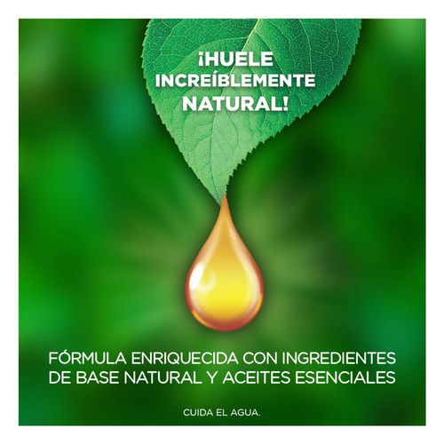 Aromatizante Eléctrico Airwick Aceite Repuesto Magnolia 5 Piezas 20ml