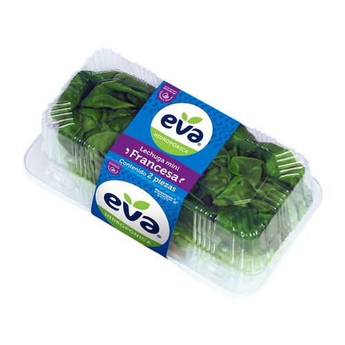 Lechuga Francesa Corazón de Eva 2 Piezas