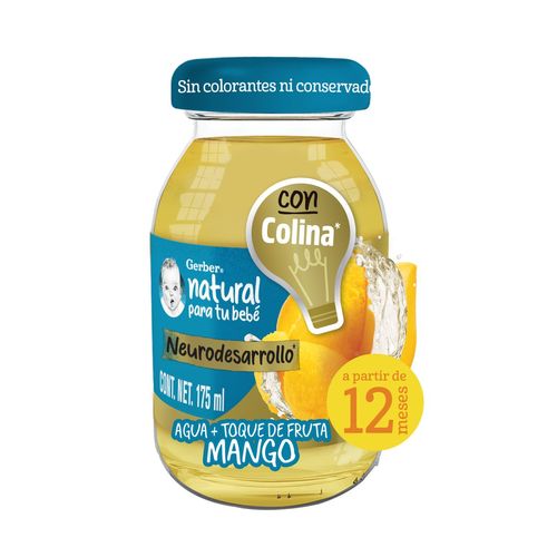 Bebidas Gerber Plus Mango Etapa 4 175 ml