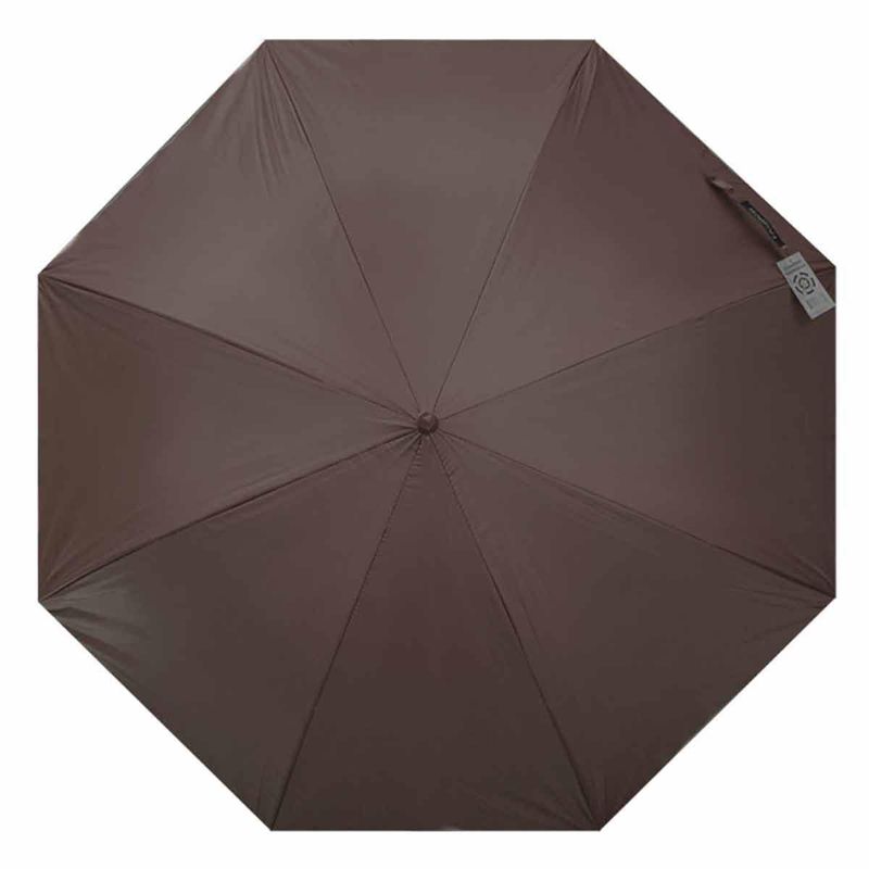 importadoralamerced0967506499366496_01