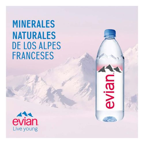 Evian Agua Natural 500ml