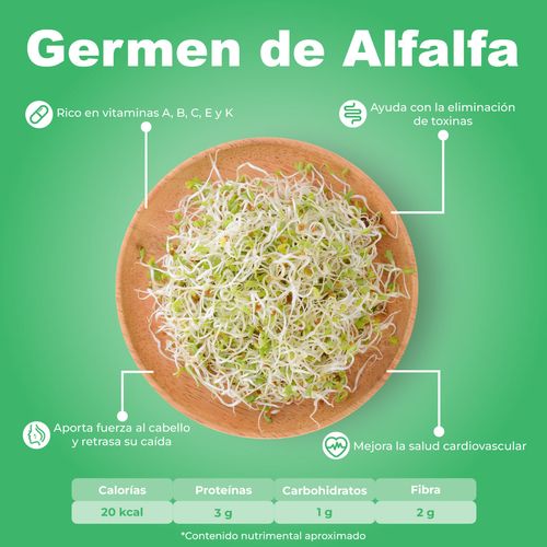 Germen Alfalfa por kg