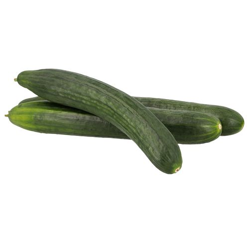 Pepino Europeo por Kg