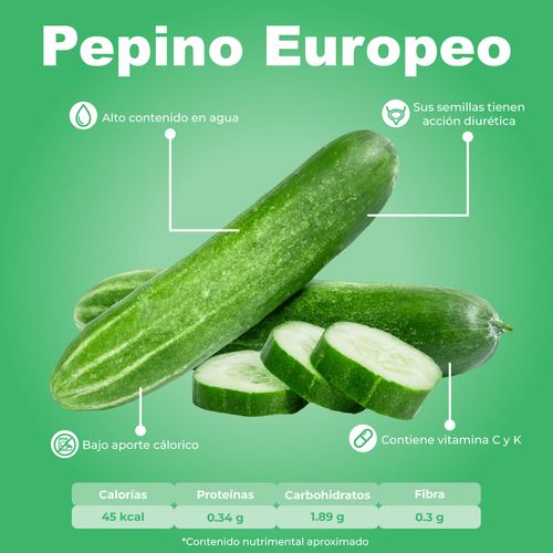 Pepino Europeo por Kg