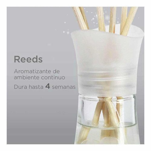 Aromatizante en Aceite Airwick Reed Black Berry 50ml y 6 Varitas