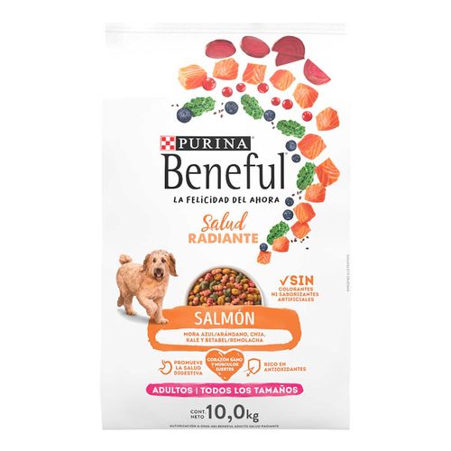 Alimento Seco para Perros Beneful Sunrise Adulto Salud Radiante Salmon 10kg