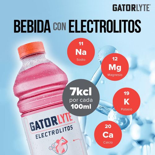 Gatorlyte Fresa-Kiwi 591ml