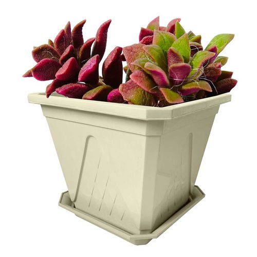 Plato Home Line Cuadrado Mediana