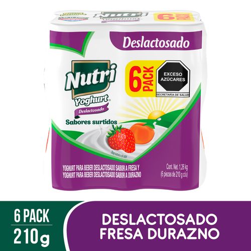 Yoghurt Bebible Surtido Nutri 6 Piezas 210g