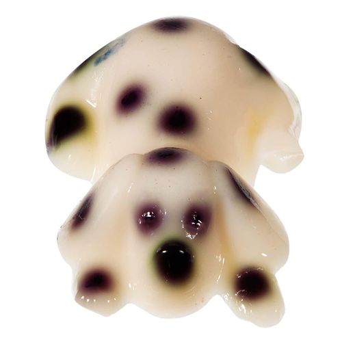 Gelatina Perrito