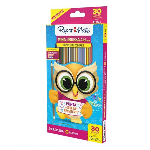 Lápices de Colores Paper Mate 4MM 15 Piezas