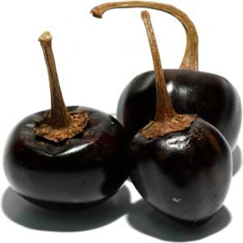 Chile Cascabel por Kg