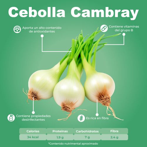 Cebolla de Cambray por Pieza