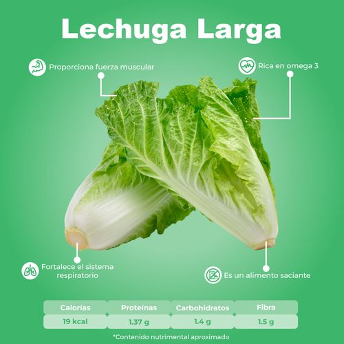 Lechuga Larga Pieza