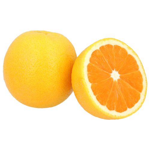 Naranja Paramount kg