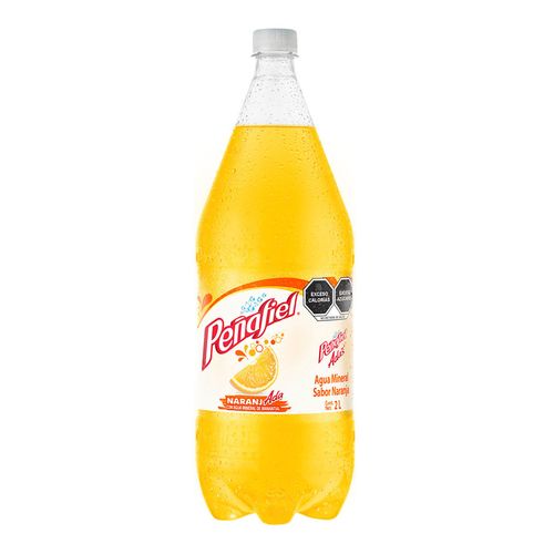 Naranjada Peñafiel Naranja 2L