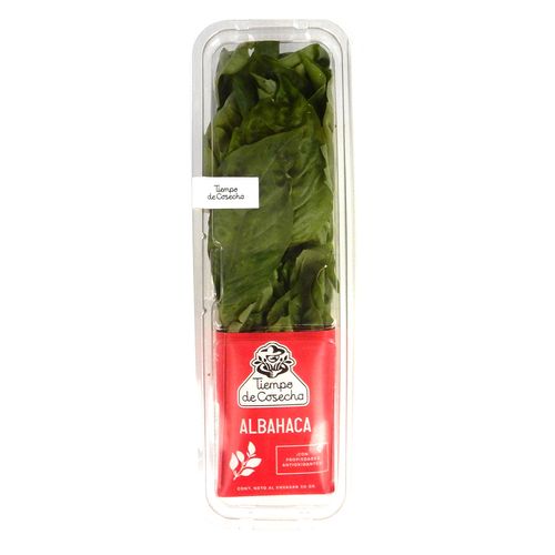 Albahaca Verde Fresca Tiempo de Cosecha 50g