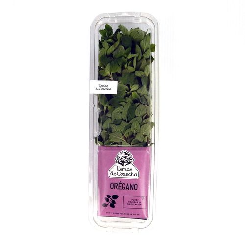 Orégano Fresco Tiempo de Cosecha 50g