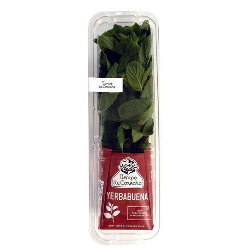 Yerbabuena Fresca Tiempo de Cosecha 50g