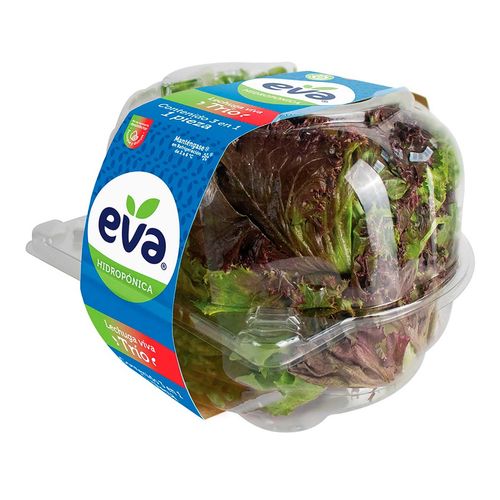 Lechuga Eva Trio Viva 1 Pieza