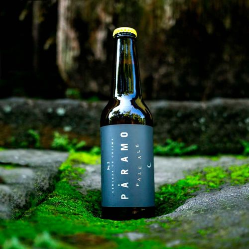 Cerveza Páramo 355 ml